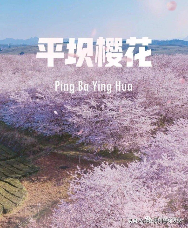 甘肃省农村创业创新项目创意大赛省级选拔赛圆满落幕